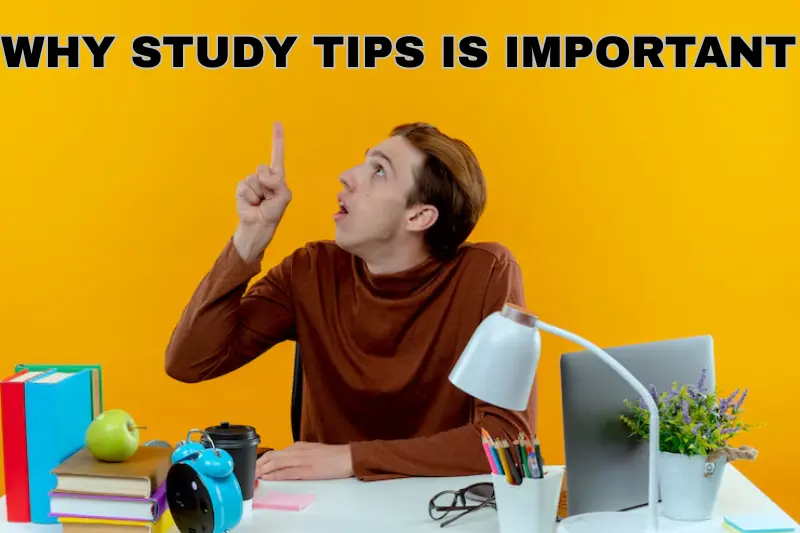 why study tips is important
