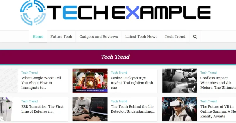 techexample org review