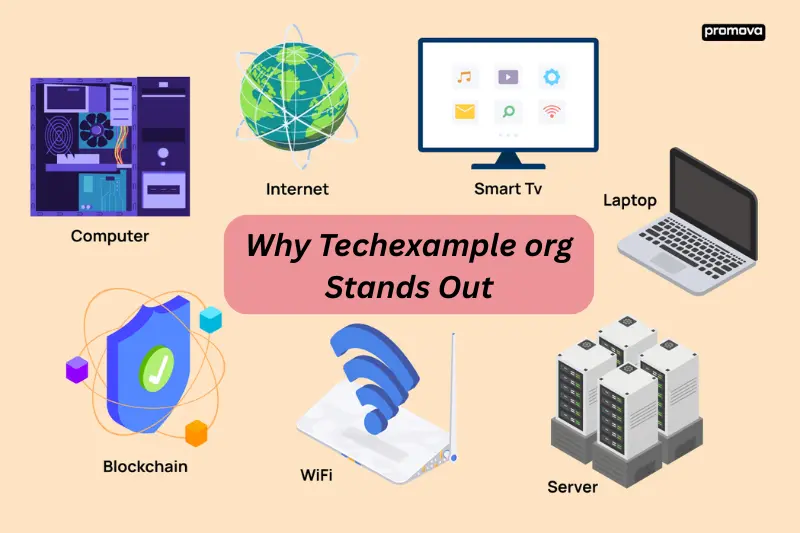 why techexample org stands out